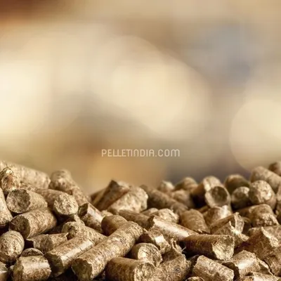 Picture 2 of RDF Pellet Plant