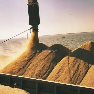 Picture 3 of Ship & Barge Bulk Loading Conveyor System