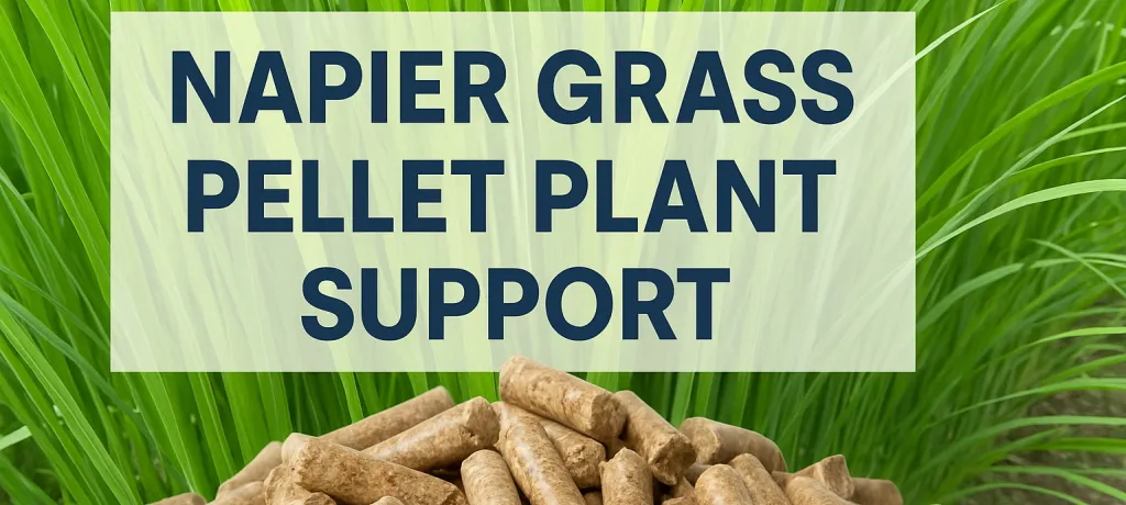 Can I get support for Napier Grass-based pellet plants in Gujarat or Maharashtra? What are the schemes available