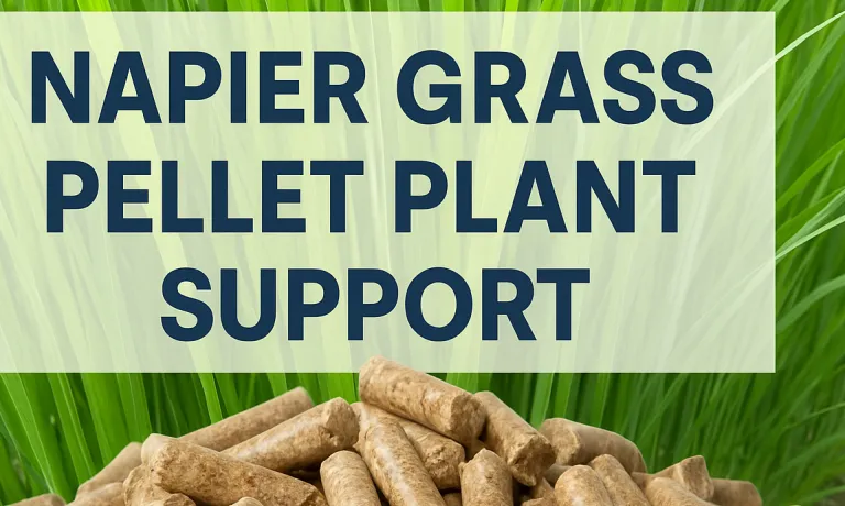 Can I get support for Napier Grass-based pellet plants in Gujarat or Maharashtra? What are the schemes available