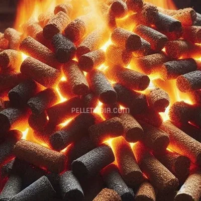 Picture 4 of Coal Pellet Mill