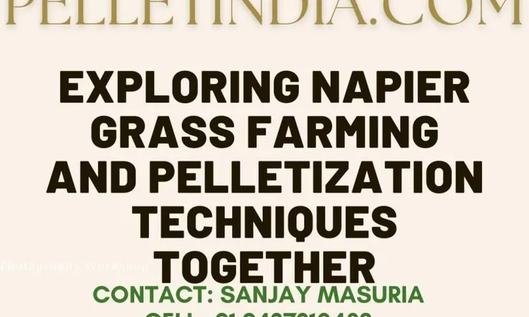 How does the farming and pelletizing process of Napier Grass work?