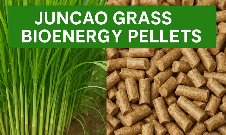 juncao grass bioenergy pellets