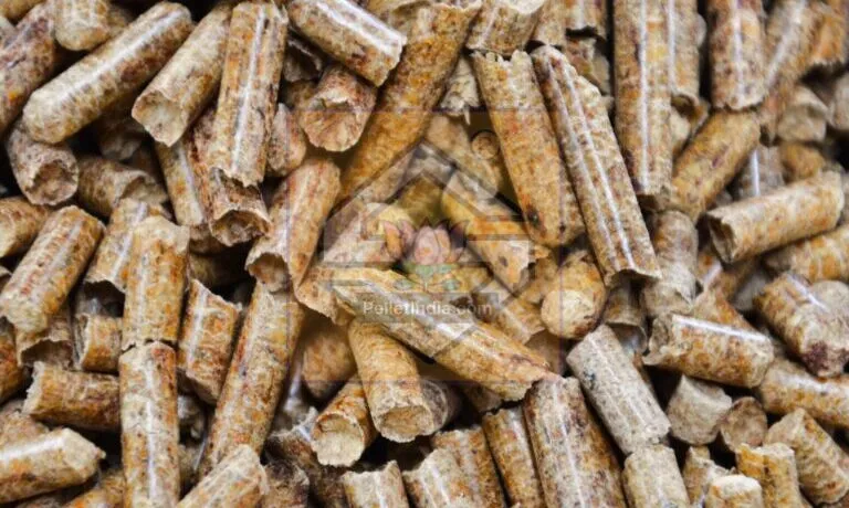 Most Preferred Biomass Pellet Mill of PelletIndia.com by the Indian Biomass Market: