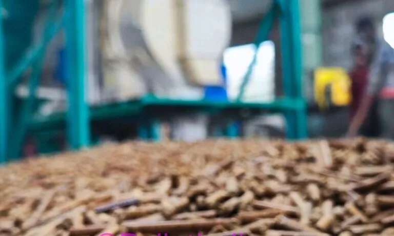 pellet india