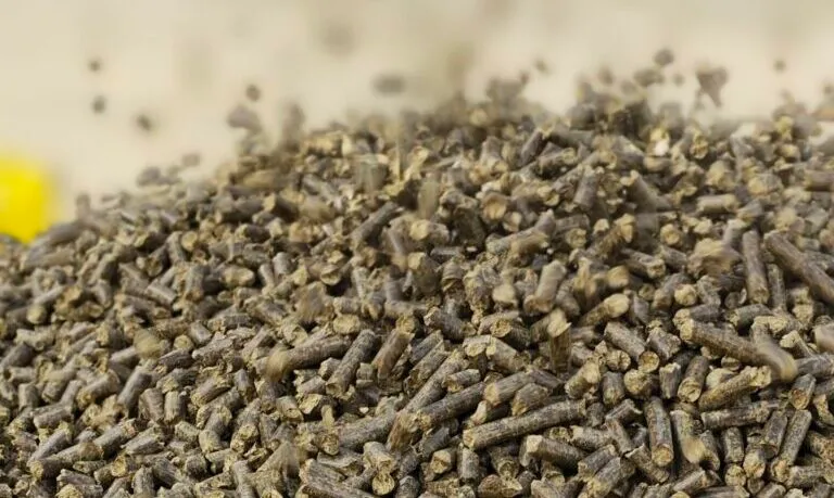 Biomass Pellet Production Line: Mustard Stalk, Napier Grass, and Cotton Stalk.