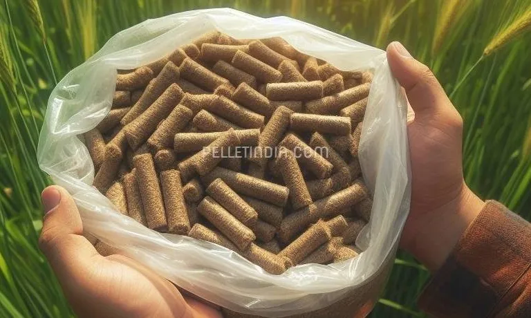 🌱 What is the ideal altitude & temperature for growing Napier Grass? 🌿